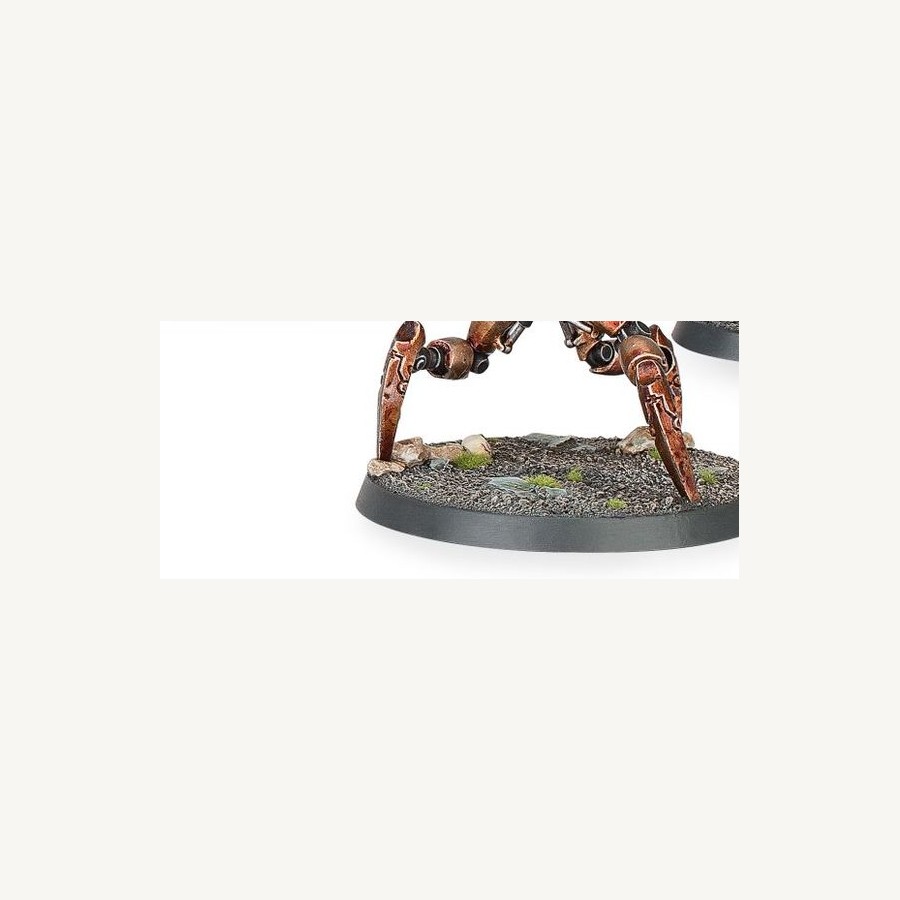 Socle rocailleux
